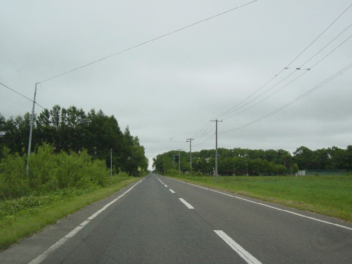 http://kuyu.jp/diary/upload/2006/06/ume%20030-thumb.jpg