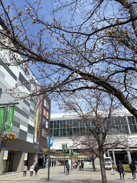IMG_7915.jpeg